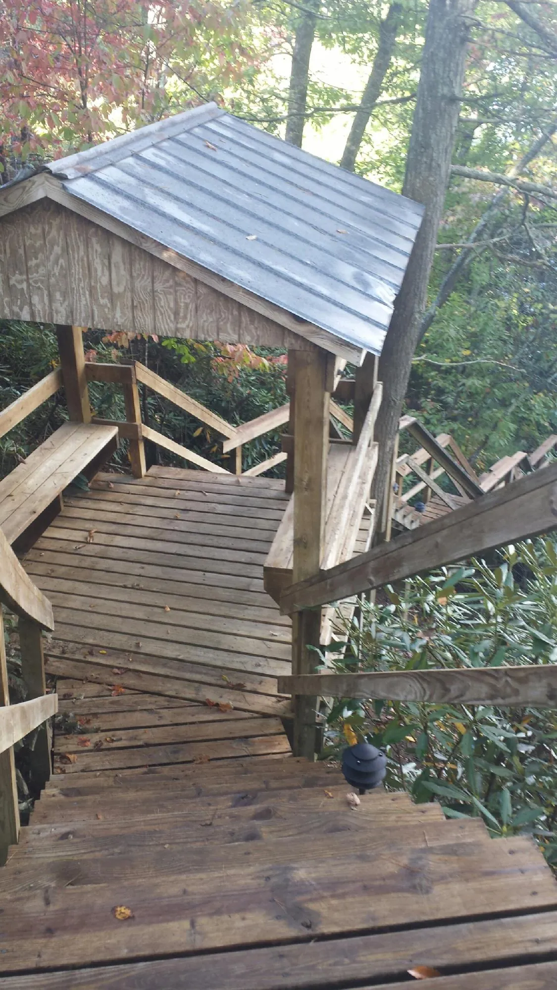 Metal roofed shelter over wooden steps on a wooded walkway — Skylight Repair & Installation work by our crew in Saltillo