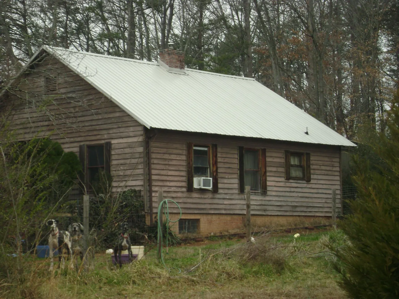 White metal roof on an old wood sided farmhouse, from a Asphalt Shingle Roof Repair job in Saltillo